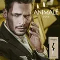 Perfume Animale Gold Masculino Eau de Toilette
