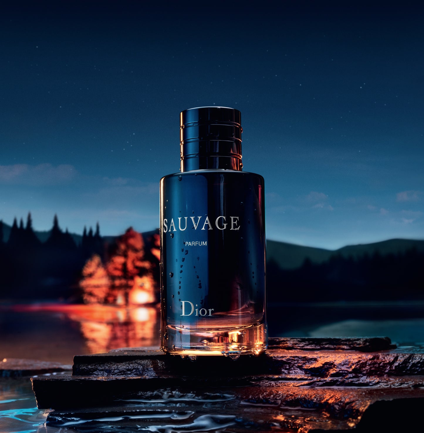 DIOR SAUVAGE PARFUM