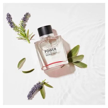 Power of Seduction Banderas - Perfume Masculino - Eau de Toilette