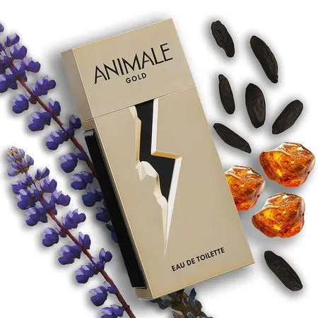 Perfume Animale Gold Masculino Eau de Toilette